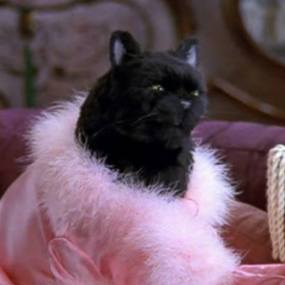 Meet your Posher, Olivia - Picture 1 of 1